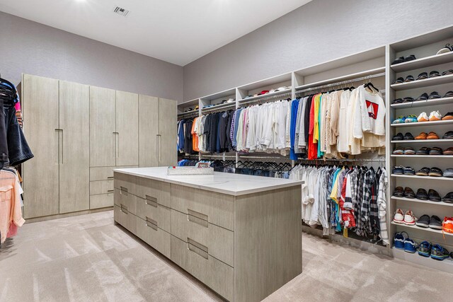 spacious closet with light carpet