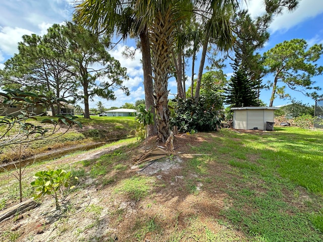 view of yard with a storage shed