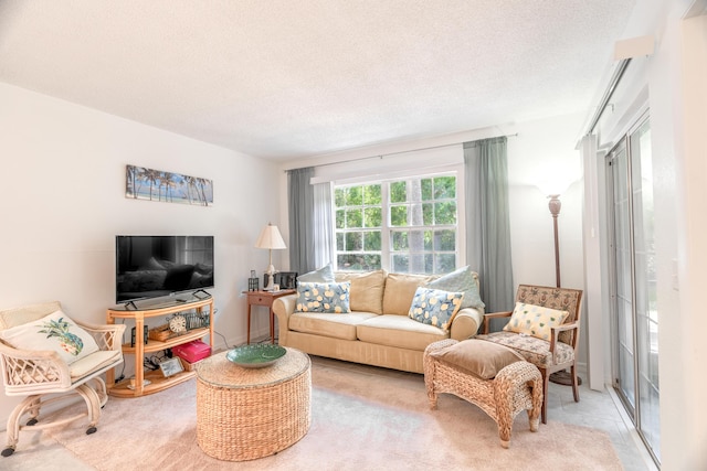 living room with a textured ceiling