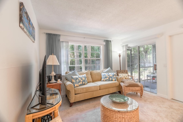 living room featuring light colored carpet and a textured ceiling