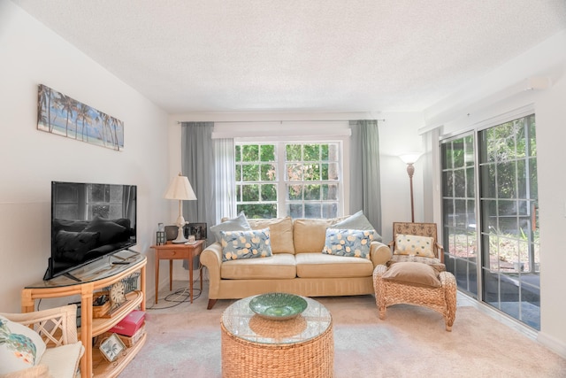 carpeted living room featuring a textured ceiling