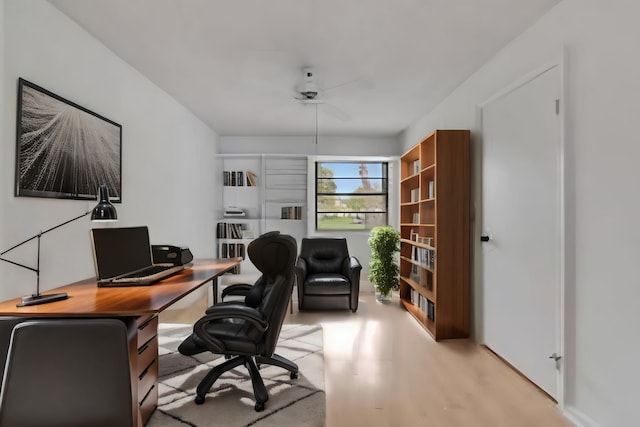 office featuring ceiling fan and light wood-style floors
