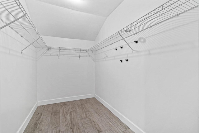 walk in closet featuring hardwood / wood-style flooring