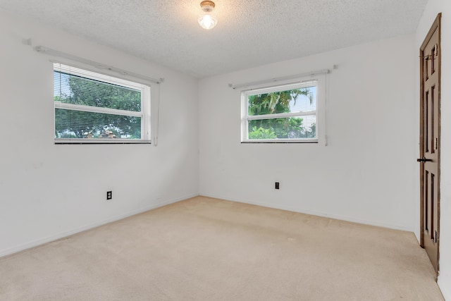 empty room with a textured ceiling, light carpet, and a wealth of natural light