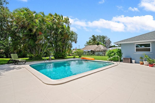 view of swimming pool featuring a patio