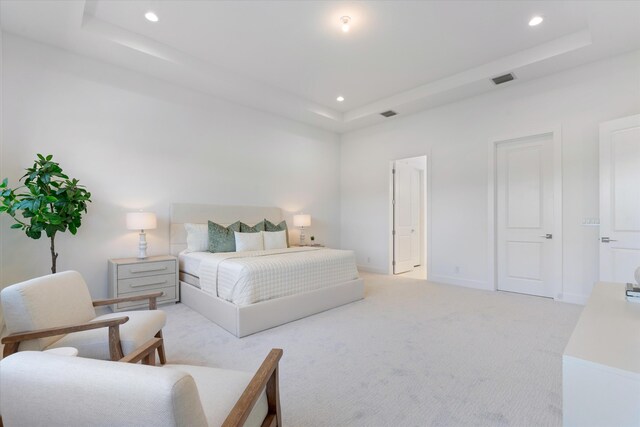 carpeted empty room featuring a tray ceiling