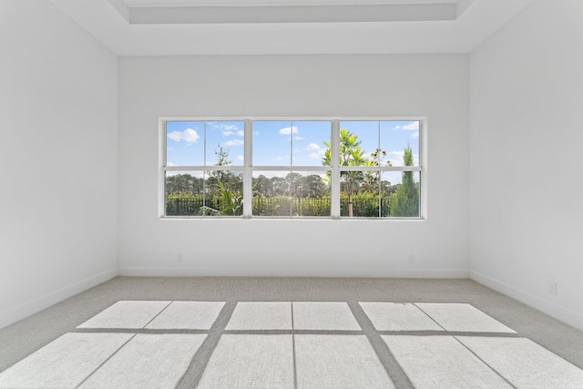 carpeted empty room featuring a raised ceiling