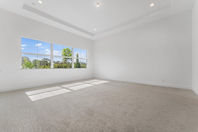 empty room with light carpet and a raised ceiling