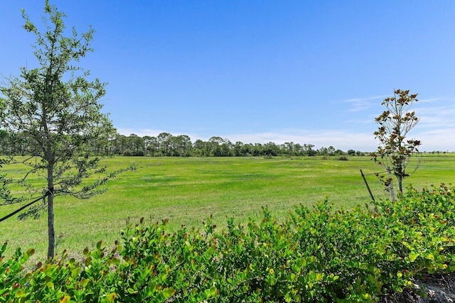 view of nature featuring a rural view