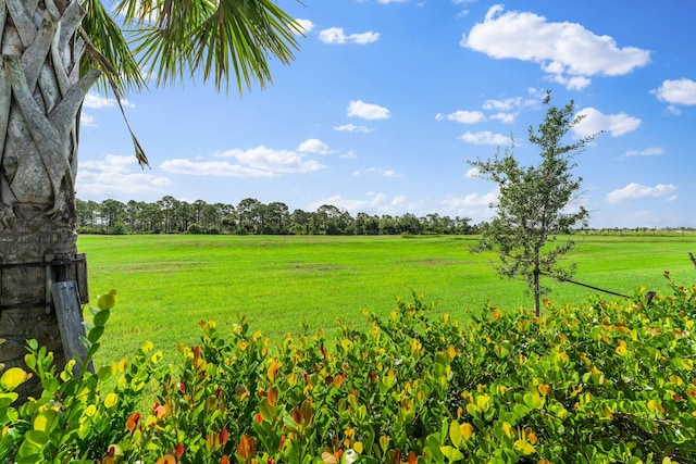 view of yard with a rural view