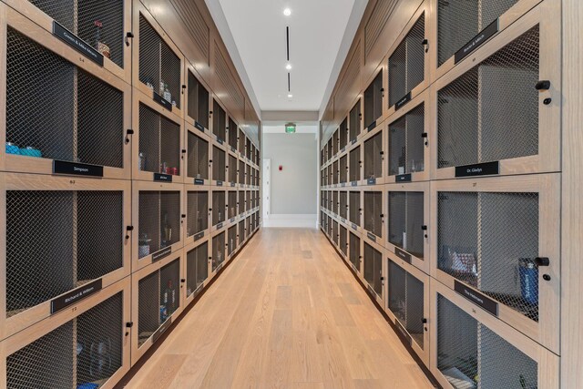 wine cellar featuring light wood-type flooring