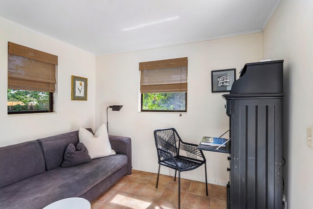 office featuring tile floors, crown molding, and a wealth of natural light