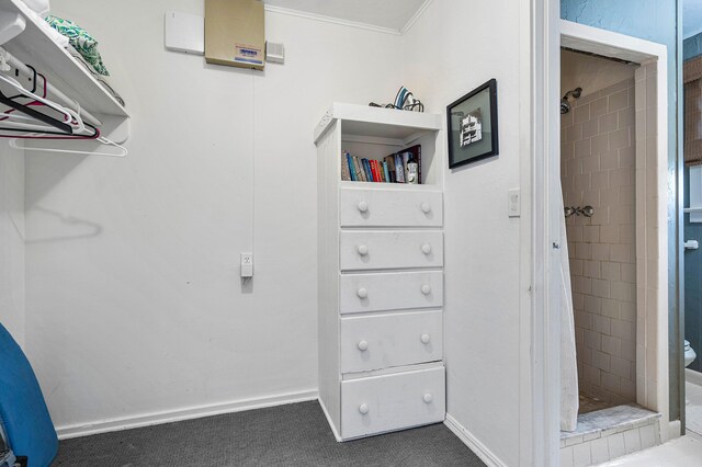 walk in closet featuring carpet