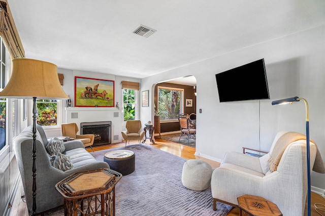 living room featuring hardwood / wood-style floors