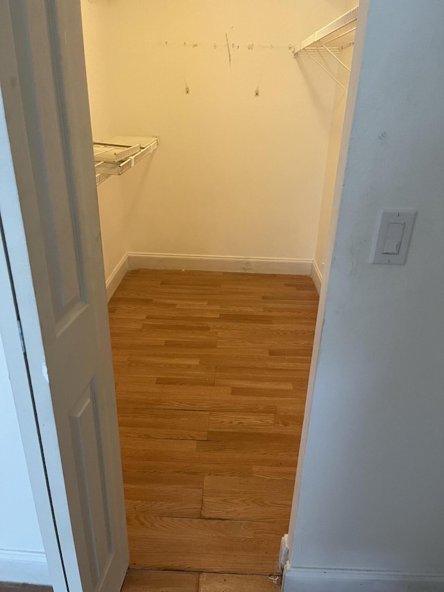 walk in closet featuring wood-type flooring