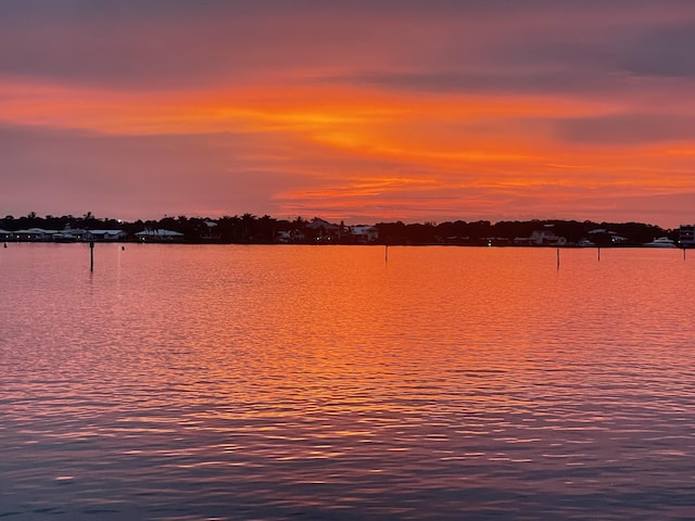 property view of water