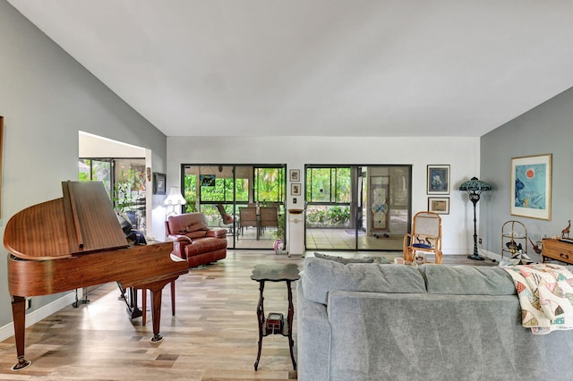 living room featuring a healthy amount of sunlight, light hardwood / wood-style flooring, and lofted ceiling