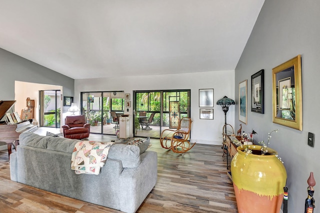 living room featuring lofted ceiling and hardwood / wood-style flooring