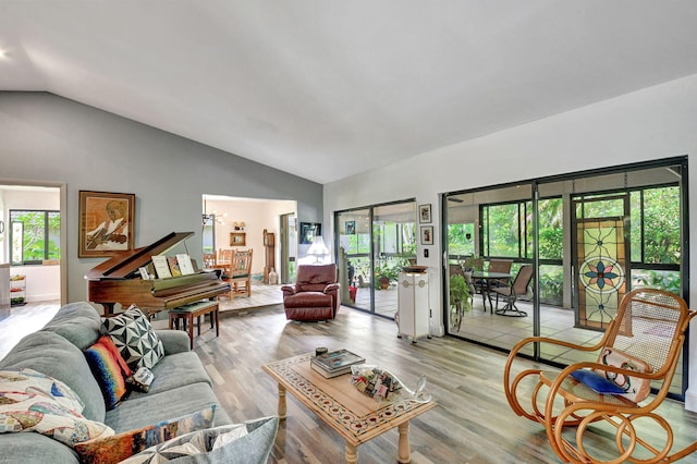 living room featuring a wealth of natural light, lofted ceiling, and light hardwood / wood-style flooring