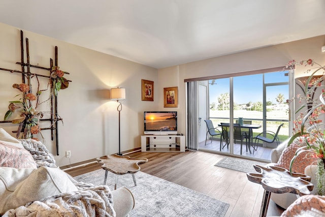 living room featuring light hardwood / wood-style flooring