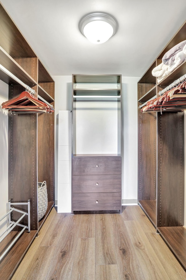 spacious closet featuring light wood-type flooring