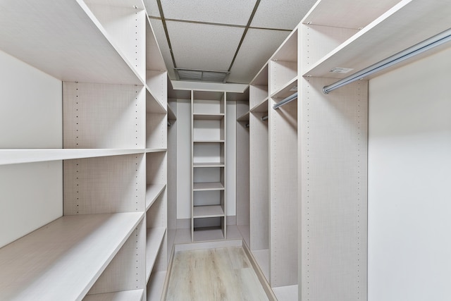 spacious closet with light hardwood / wood-style floors