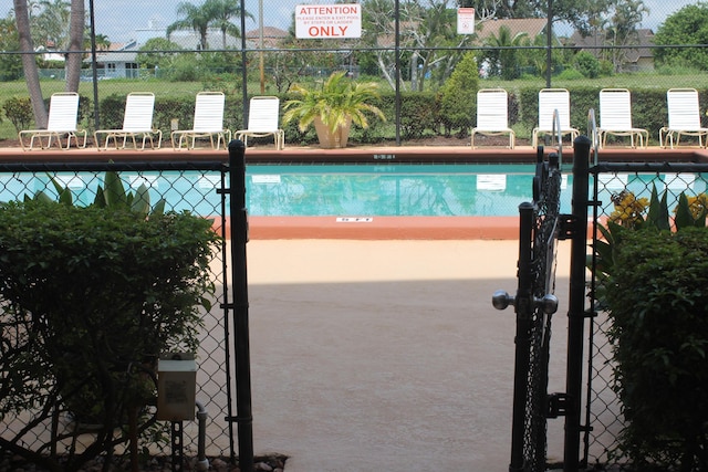 view of swimming pool