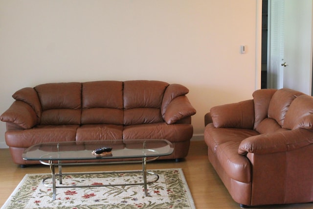 living room featuring hardwood / wood-style floors