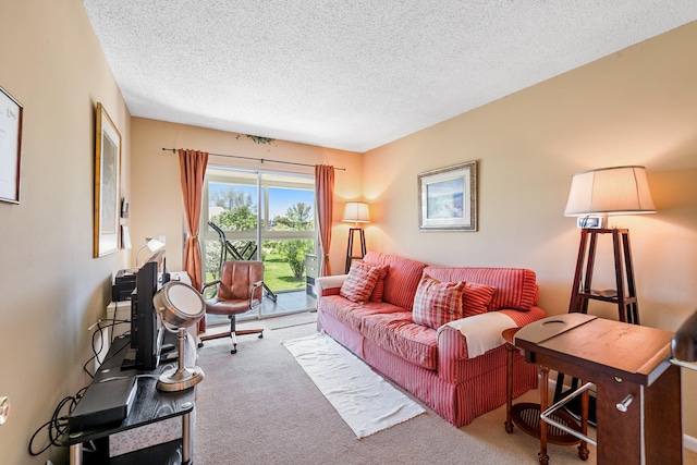 carpeted living room with a textured ceiling