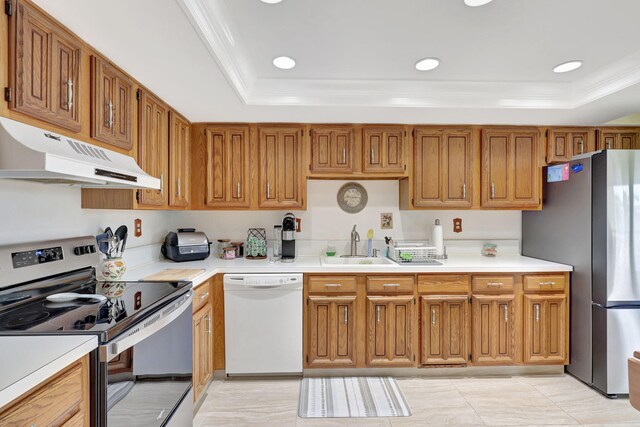 kitchen featuring sink, appliances with stainless steel finishes, crown molding, and a raised ceiling