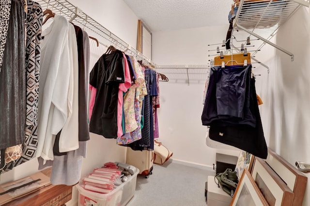 walk in closet with carpet floors