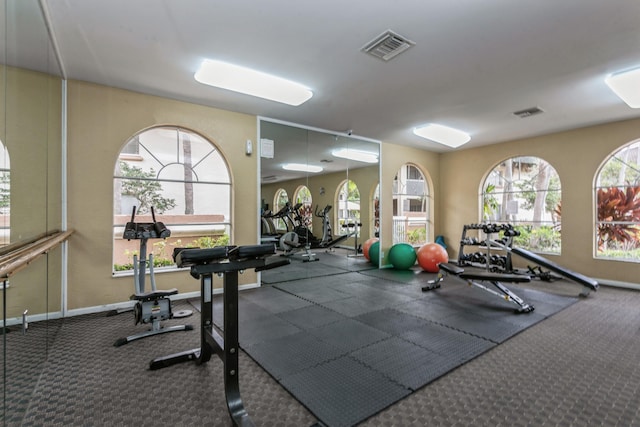 exercise room featuring a healthy amount of sunlight