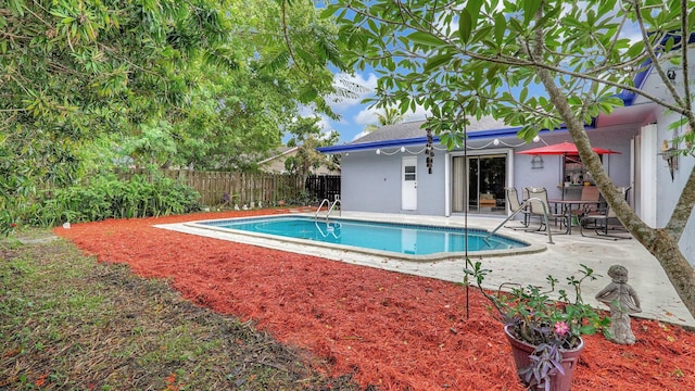 view of pool featuring a patio