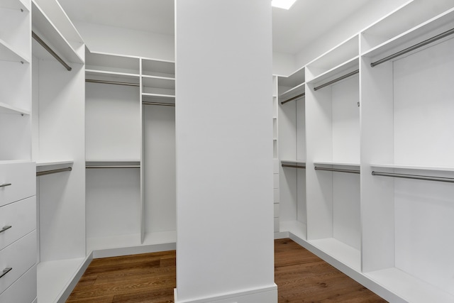 spacious closet featuring dark hardwood / wood-style floors