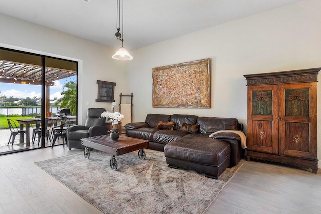 living area with wood finished floors