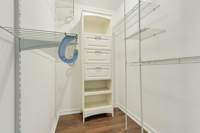 walk in closet featuring dark hardwood / wood-style floors