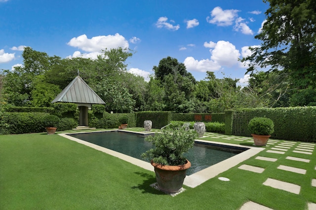 view of swimming pool with a lawn