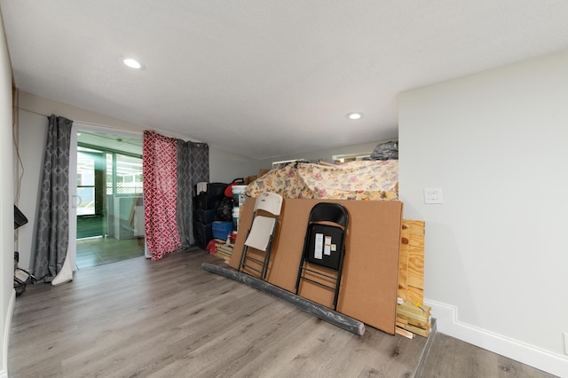 interior space with wood-type flooring