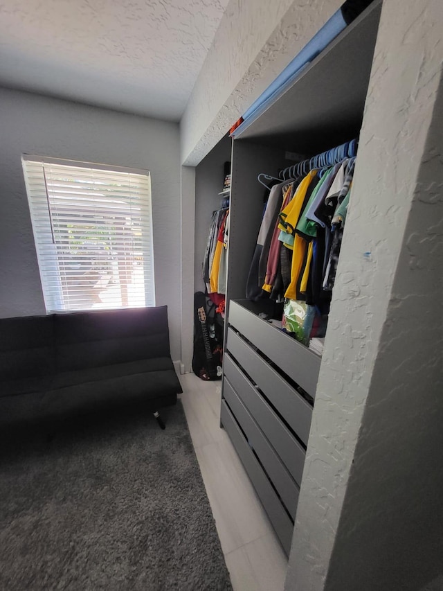 spacious closet featuring light colored carpet