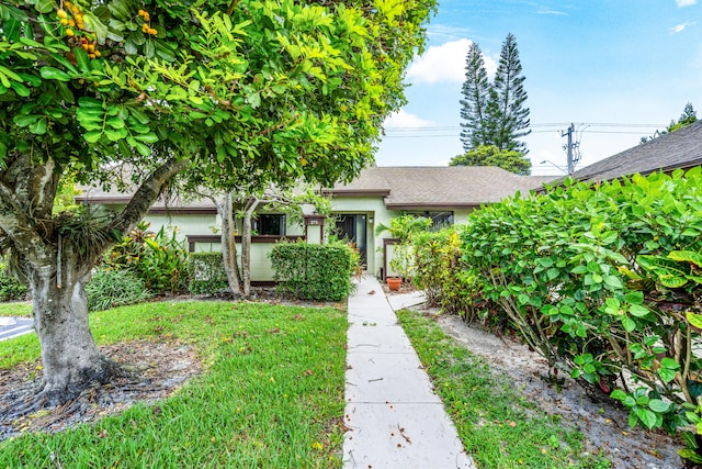 view of property hidden behind natural elements featuring a front lawn