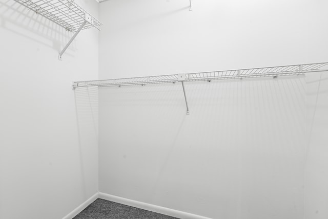 spacious closet featuring carpet flooring