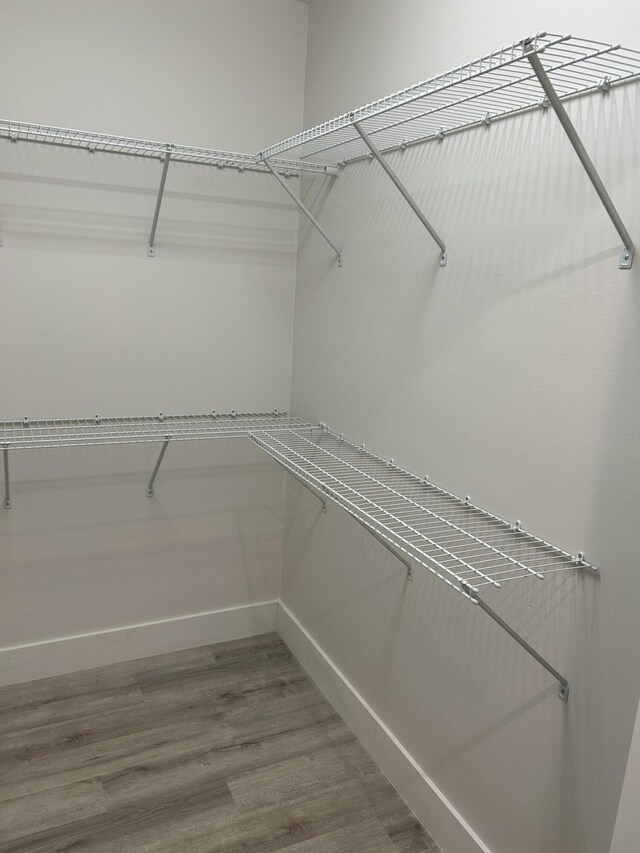 spacious closet with hardwood / wood-style flooring