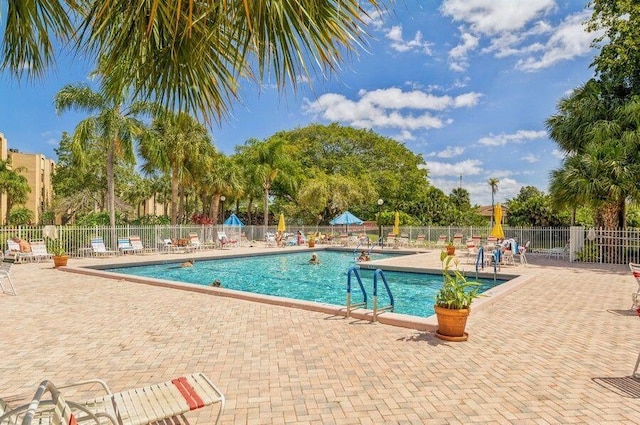 view of pool featuring a patio