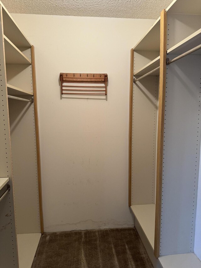 spacious closet featuring carpet floors