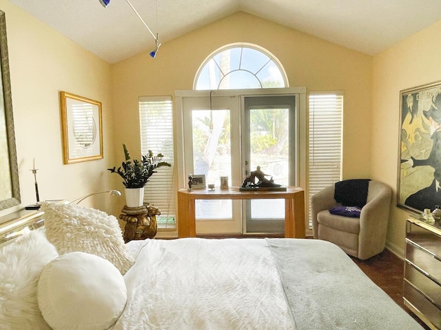 bedroom featuring dark hardwood / wood-style flooring and lofted ceiling