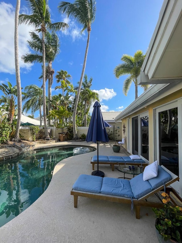 view of pool featuring a patio