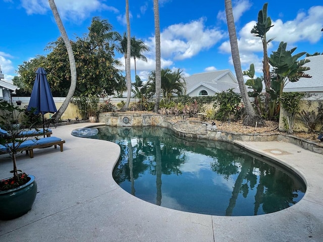 view of swimming pool featuring a patio