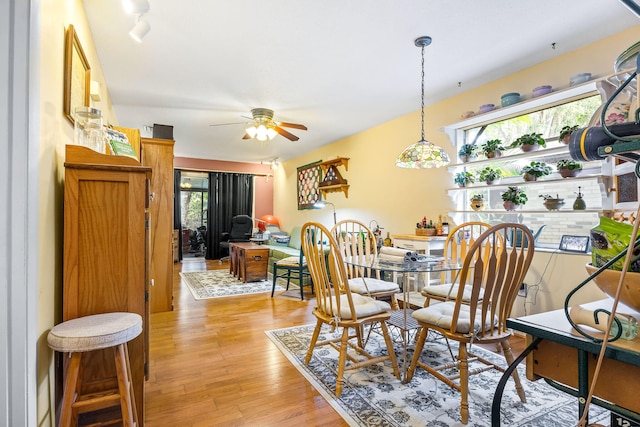 dining area with ceiling fan and light hardwood / wood-style flooring