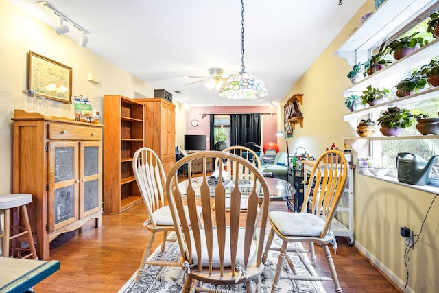 dining area with hardwood / wood-style floors, ceiling fan, and rail lighting