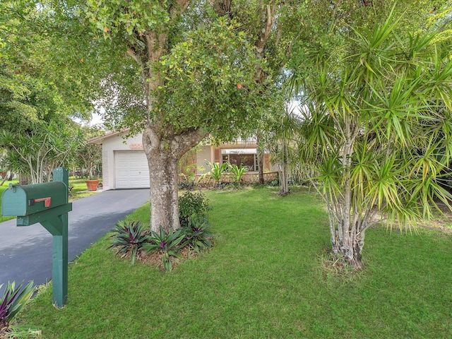 view of property hidden behind natural elements with a garage and a front yard